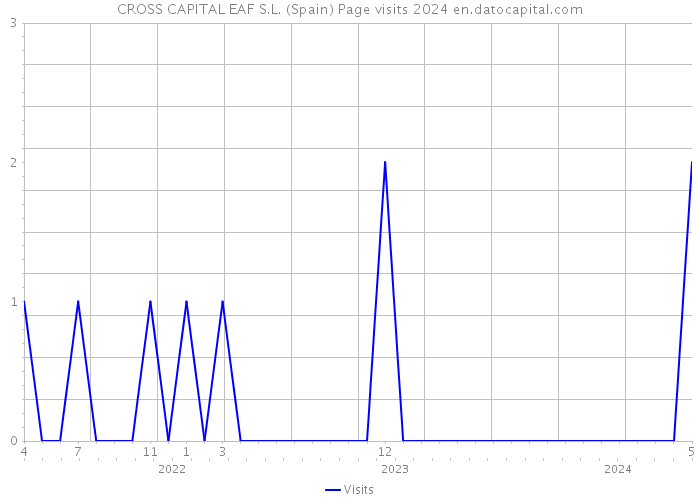CROSS CAPITAL EAF S.L. (Spain) Page visits 2024 
