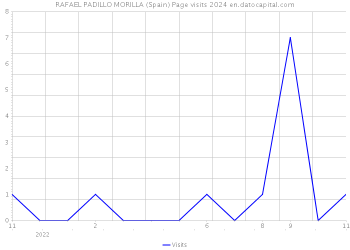 RAFAEL PADILLO MORILLA (Spain) Page visits 2024 