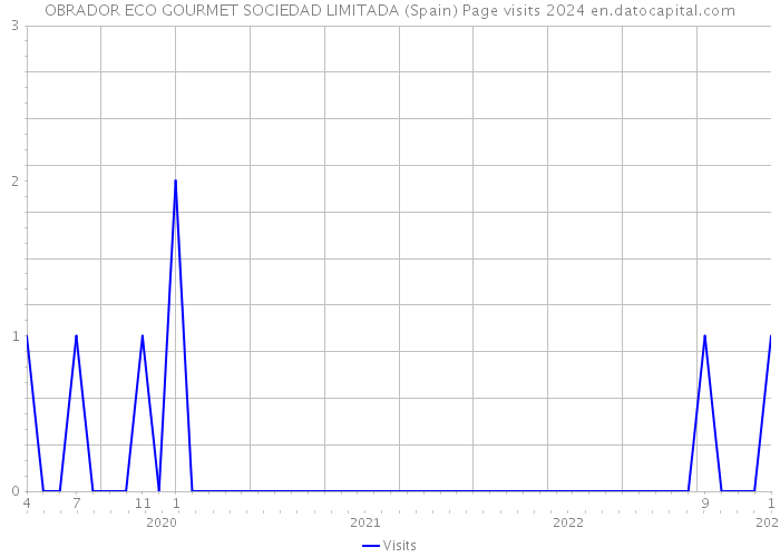 OBRADOR ECO GOURMET SOCIEDAD LIMITADA (Spain) Page visits 2024 