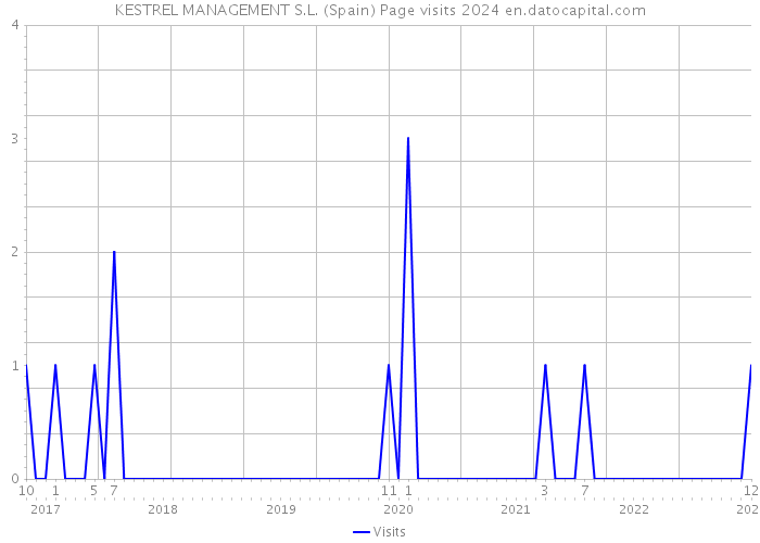 KESTREL MANAGEMENT S.L. (Spain) Page visits 2024 
