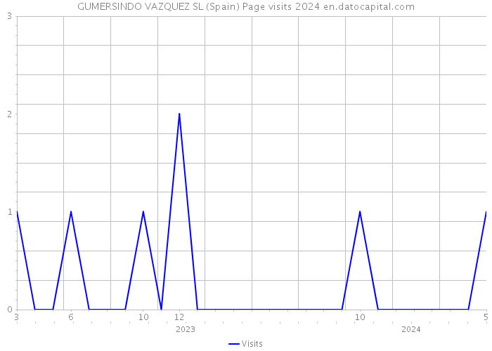 GUMERSINDO VAZQUEZ SL (Spain) Page visits 2024 