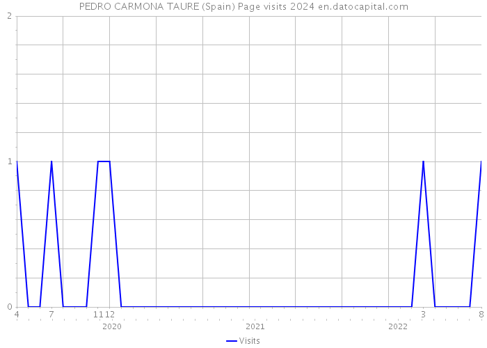 PEDRO CARMONA TAURE (Spain) Page visits 2024 