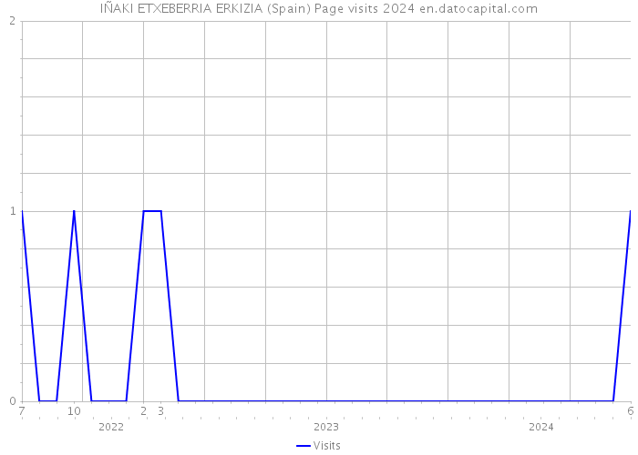 IÑAKI ETXEBERRIA ERKIZIA (Spain) Page visits 2024 