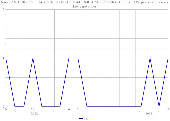 MARZO STUDIO SOCIEDAD DE RESPONSABILIDAD LIMITADA PROFESIONAL (Spain) Page visits 2024 