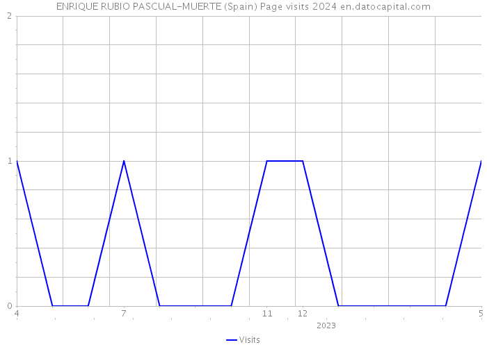 ENRIQUE RUBIO PASCUAL-MUERTE (Spain) Page visits 2024 