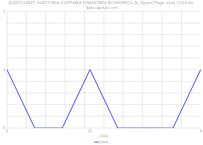 AUDITCUENT: AUDITORIA CONTABLE FINANCIERA ECONOMICA SL (Spain) Page visits 2024 