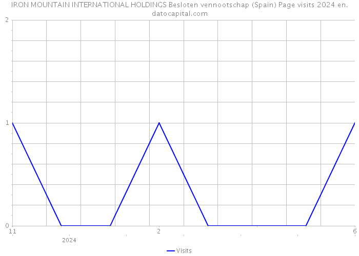 IRON MOUNTAIN INTERNATIONAL HOLDINGS Besloten vennootschap (Spain) Page visits 2024 
