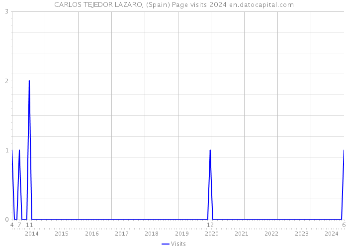 CARLOS TEJEDOR LAZARO, (Spain) Page visits 2024 
