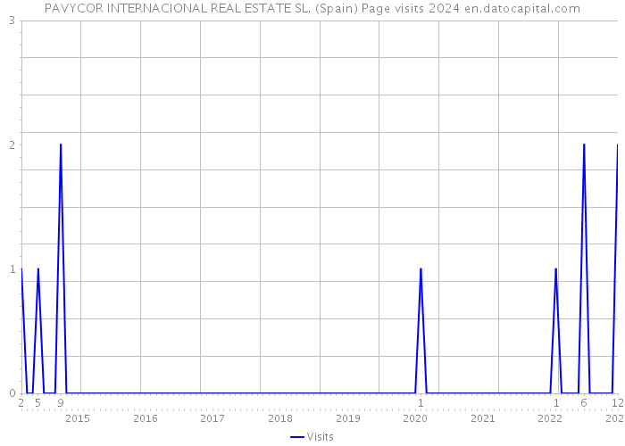 PAVYCOR INTERNACIONAL REAL ESTATE SL. (Spain) Page visits 2024 