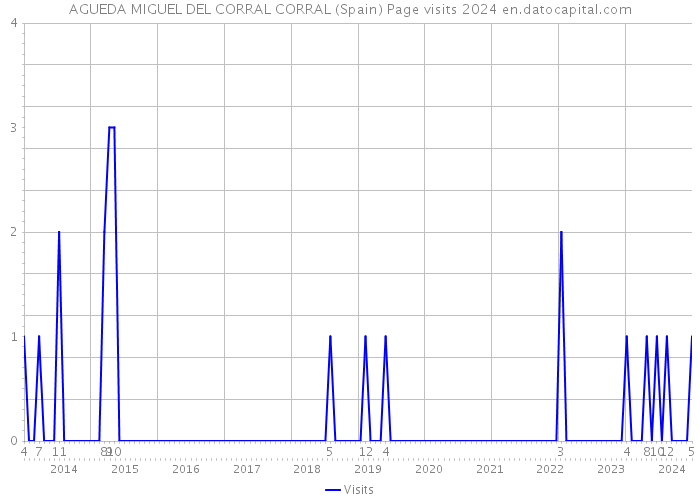 AGUEDA MIGUEL DEL CORRAL CORRAL (Spain) Page visits 2024 