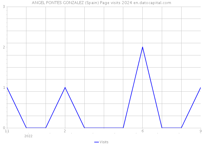 ANGEL PONTES GONZALEZ (Spain) Page visits 2024 
