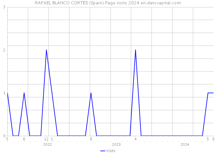RAFAEL BLANCO CORTES (Spain) Page visits 2024 