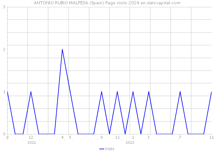 ANTONIO RUBIO MALPESA (Spain) Page visits 2024 