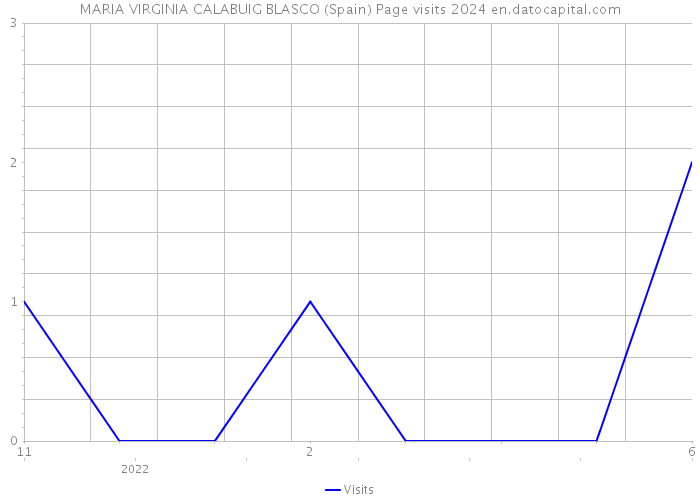 MARIA VIRGINIA CALABUIG BLASCO (Spain) Page visits 2024 