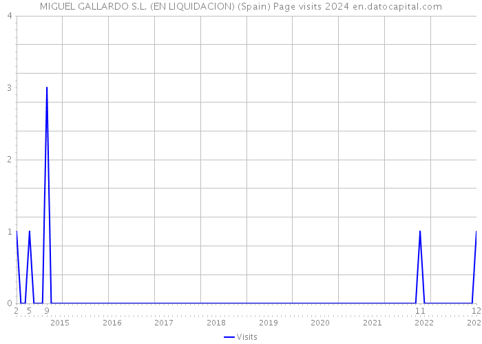 MIGUEL GALLARDO S.L. (EN LIQUIDACION) (Spain) Page visits 2024 