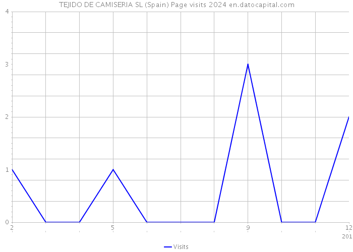 TEJIDO DE CAMISERIA SL (Spain) Page visits 2024 