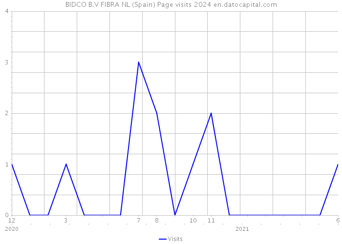 BIDCO B.V FIBRA NL (Spain) Page visits 2024 