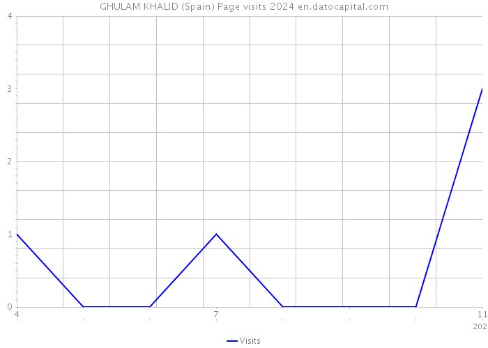 GHULAM KHALID (Spain) Page visits 2024 