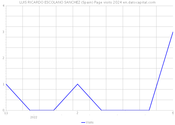 LUIS RICARDO ESCOLANO SANCHEZ (Spain) Page visits 2024 