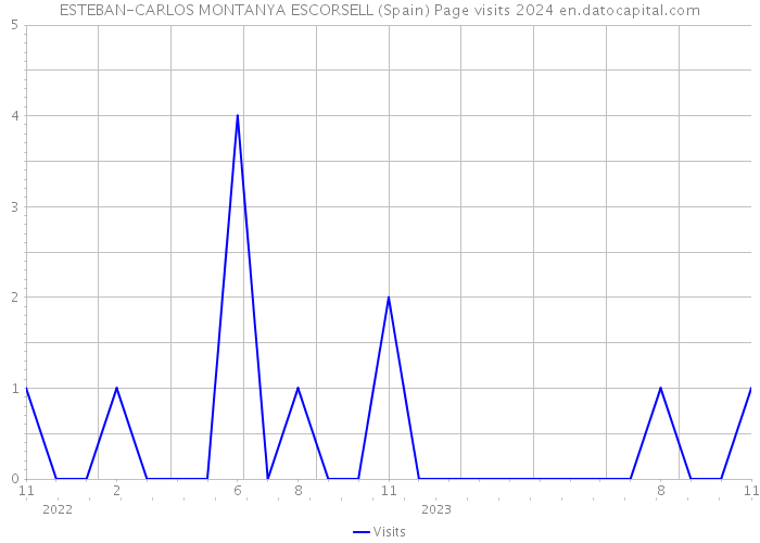ESTEBAN-CARLOS MONTANYA ESCORSELL (Spain) Page visits 2024 