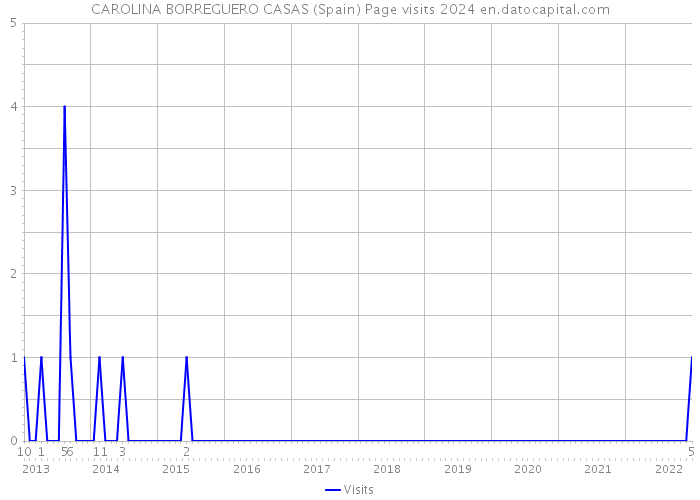 CAROLINA BORREGUERO CASAS (Spain) Page visits 2024 