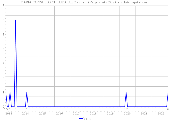 MARIA CONSUELO CHILLIDA BESO (Spain) Page visits 2024 