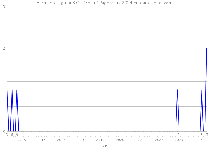 Hermano Laguna S.C.P (Spain) Page visits 2024 
