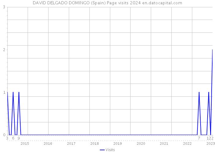 DAVID DELGADO DOMINGO (Spain) Page visits 2024 