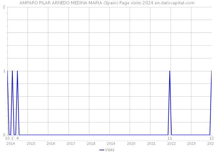 AMPARO PILAR ARNEDO MEDINA MARIA (Spain) Page visits 2024 