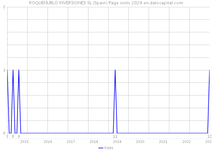 ROQUENUBLO INVERSIONES SL (Spain) Page visits 2024 