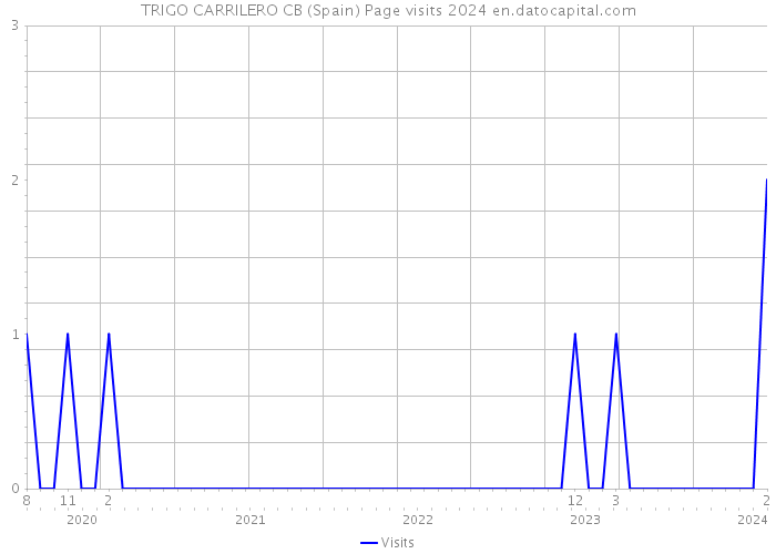 TRIGO CARRILERO CB (Spain) Page visits 2024 