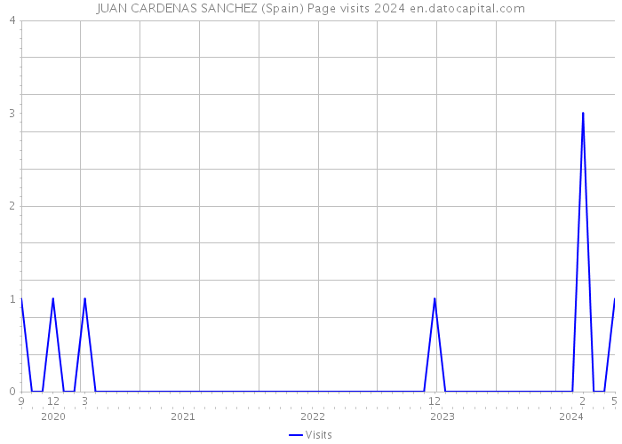 JUAN CARDENAS SANCHEZ (Spain) Page visits 2024 