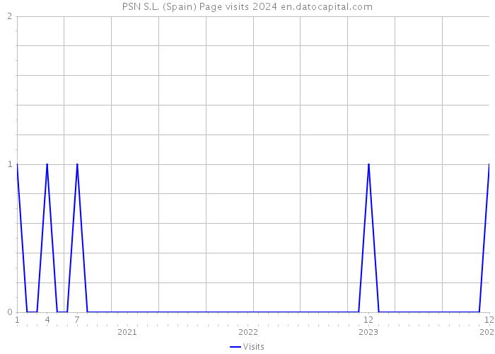 PSN S.L. (Spain) Page visits 2024 