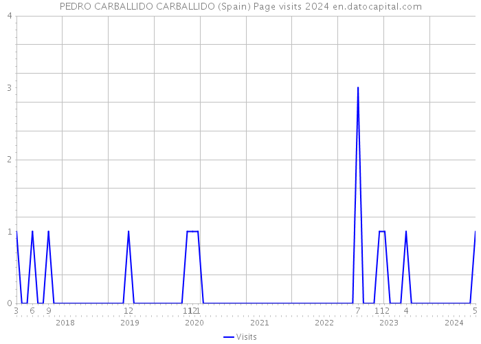 PEDRO CARBALLIDO CARBALLIDO (Spain) Page visits 2024 