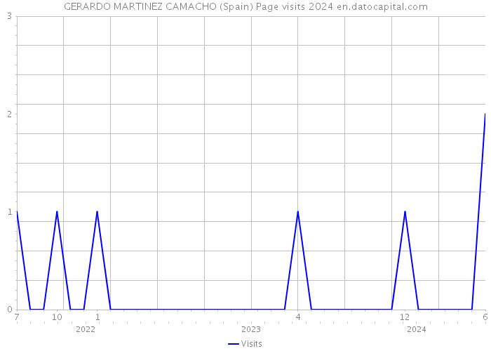 GERARDO MARTINEZ CAMACHO (Spain) Page visits 2024 