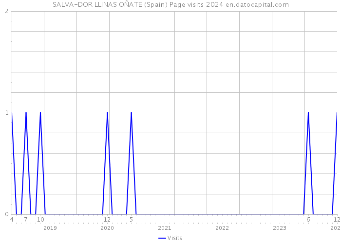 SALVA-DOR LLINAS OÑATE (Spain) Page visits 2024 