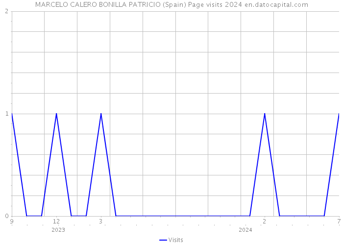 MARCELO CALERO BONILLA PATRICIO (Spain) Page visits 2024 