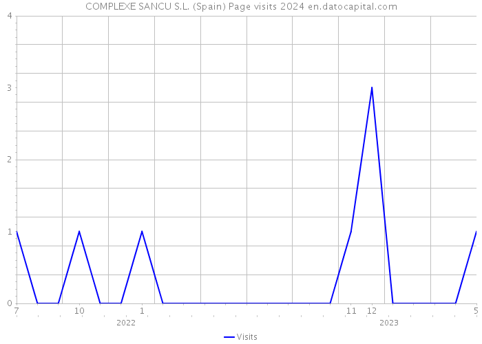 COMPLEXE SANCU S.L. (Spain) Page visits 2024 