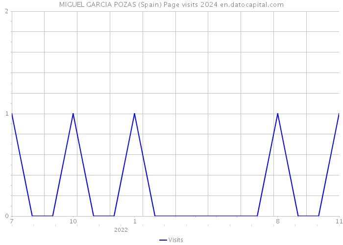 MIGUEL GARCIA POZAS (Spain) Page visits 2024 
