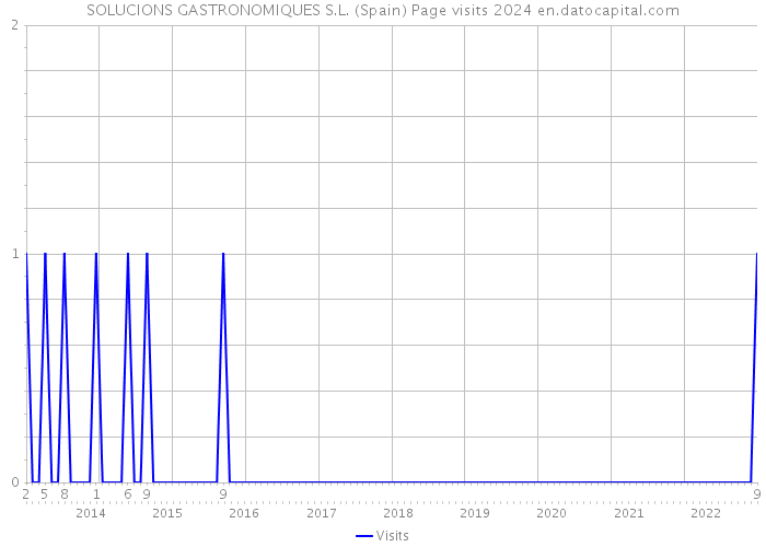 SOLUCIONS GASTRONOMIQUES S.L. (Spain) Page visits 2024 