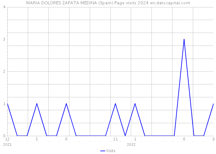 MARIA DOLORES ZAPATA MEDINA (Spain) Page visits 2024 