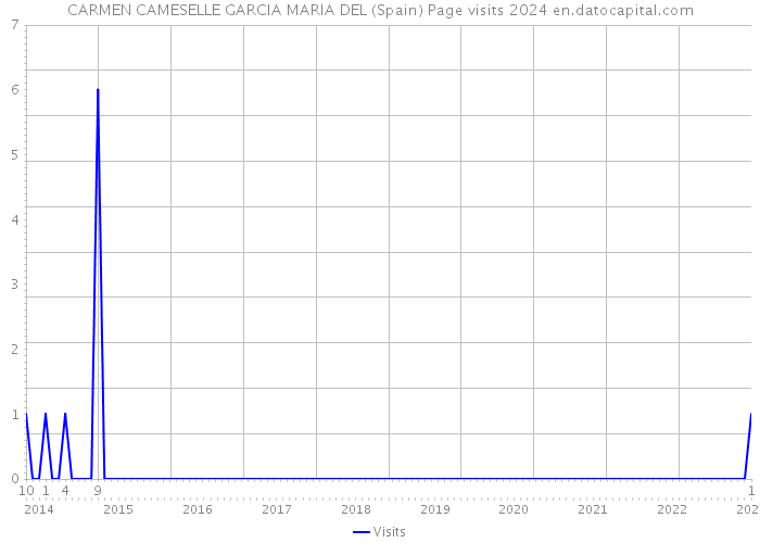 CARMEN CAMESELLE GARCIA MARIA DEL (Spain) Page visits 2024 