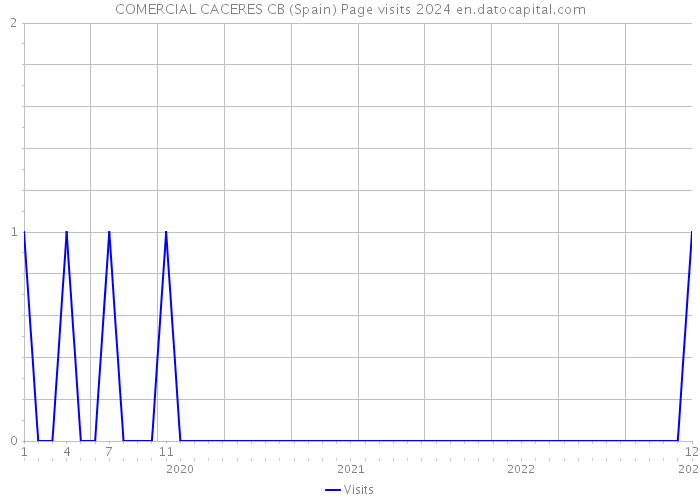 COMERCIAL CACERES CB (Spain) Page visits 2024 
