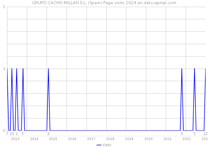 GRUPO CACHO MILLAN S.L. (Spain) Page visits 2024 