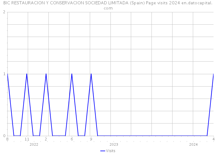 BIC RESTAURACION Y CONSERVACION SOCIEDAD LIMITADA (Spain) Page visits 2024 