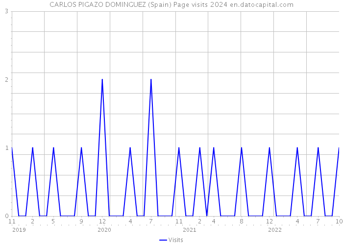 CARLOS PIGAZO DOMINGUEZ (Spain) Page visits 2024 