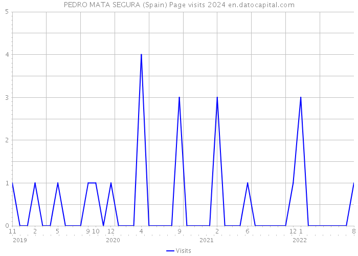 PEDRO MATA SEGURA (Spain) Page visits 2024 