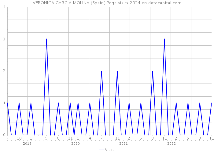 VERONICA GARCIA MOLINA (Spain) Page visits 2024 