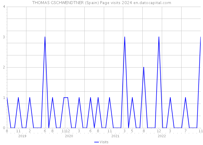 THOMAS GSCHWENDTNER (Spain) Page visits 2024 