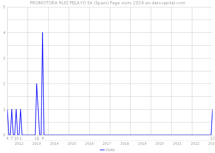 PROMOTORA RUIZ PELAYO SA (Spain) Page visits 2024 